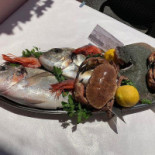 Terra E Mare Damare Comida
