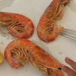 Terra E Mare Damare Comida