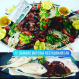 Terra E Mare Damare Carta