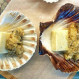 Ostaria De Mar Nourriture