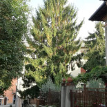 Circolo Lavoratori Iseo Exterior