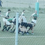 Rugby Jesi '70 Bebida