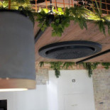 Neps Pizzeria Grill Extérieur
