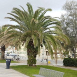 Bagno Eugenia Extérieur