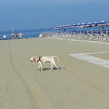 Bagno Eugenia Extérieur