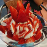 Soller Cibo