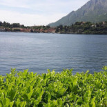 Tabula Rosa Exterior