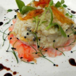 Alex Comida
