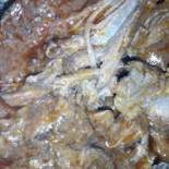 Moro Nourriture