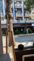 Pepito outside