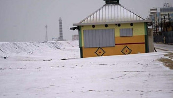 Pepito outside