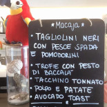 Macaja Carta