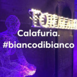 Biancodibianco Logo