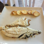 Tortuga Comida