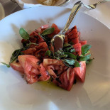 Tortuga Comida
