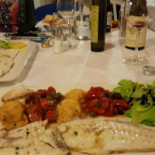 Tortuga Comida