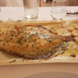 Tortuga Comida