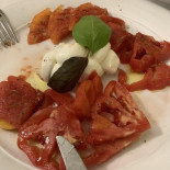 Tortuga Comida