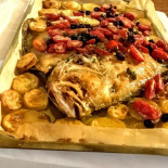 Tortuga Comida