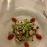 Tortuga Comida