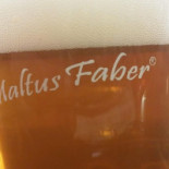 Gambrinus Carte