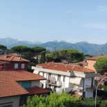 Fortunella Exterior