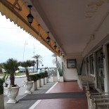 Cattan outside