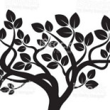 Bonsai Sushi logo