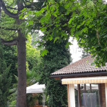 Pit Stop Imbiss Exterior