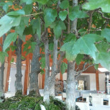 Le Ghiandaie Exterior