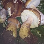 Posada Comida