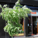 Pizz8 Exterior