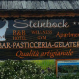 Steinbock Exterior