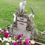 Steinbock Exterior