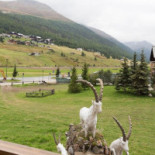 Steinbock Exterior