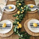 Monica Fanucchi Personal Chef food