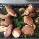 Stabilimento Bagni Trentatre food