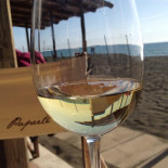 Papeete Ladispoli drink