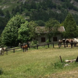 Aury's Extérieur