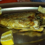 Cothon Pizzeria Nourriture