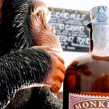 Monkey Drink House Boisson