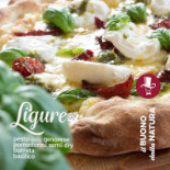 Ser Pizza Comida