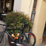 Ser Pizza Exterior