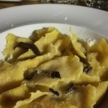Giallozucca Nourriture