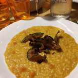 Giallozucca Nourriture
