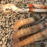 Mangia Bevi Nourriture