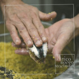Controcorrente -taverna Di Mare- Marmoreo Bartolomeo Antico Borgo Marinaro Bebida