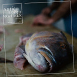 Controcorrente -taverna Di Mare- Marmoreo Bartolomeo Antico Borgo Marinaro Bebida