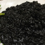 Di Pesce Milano Buon Prezzo Settembrini 18