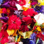 Becky Burger Hamburgeria Getränk